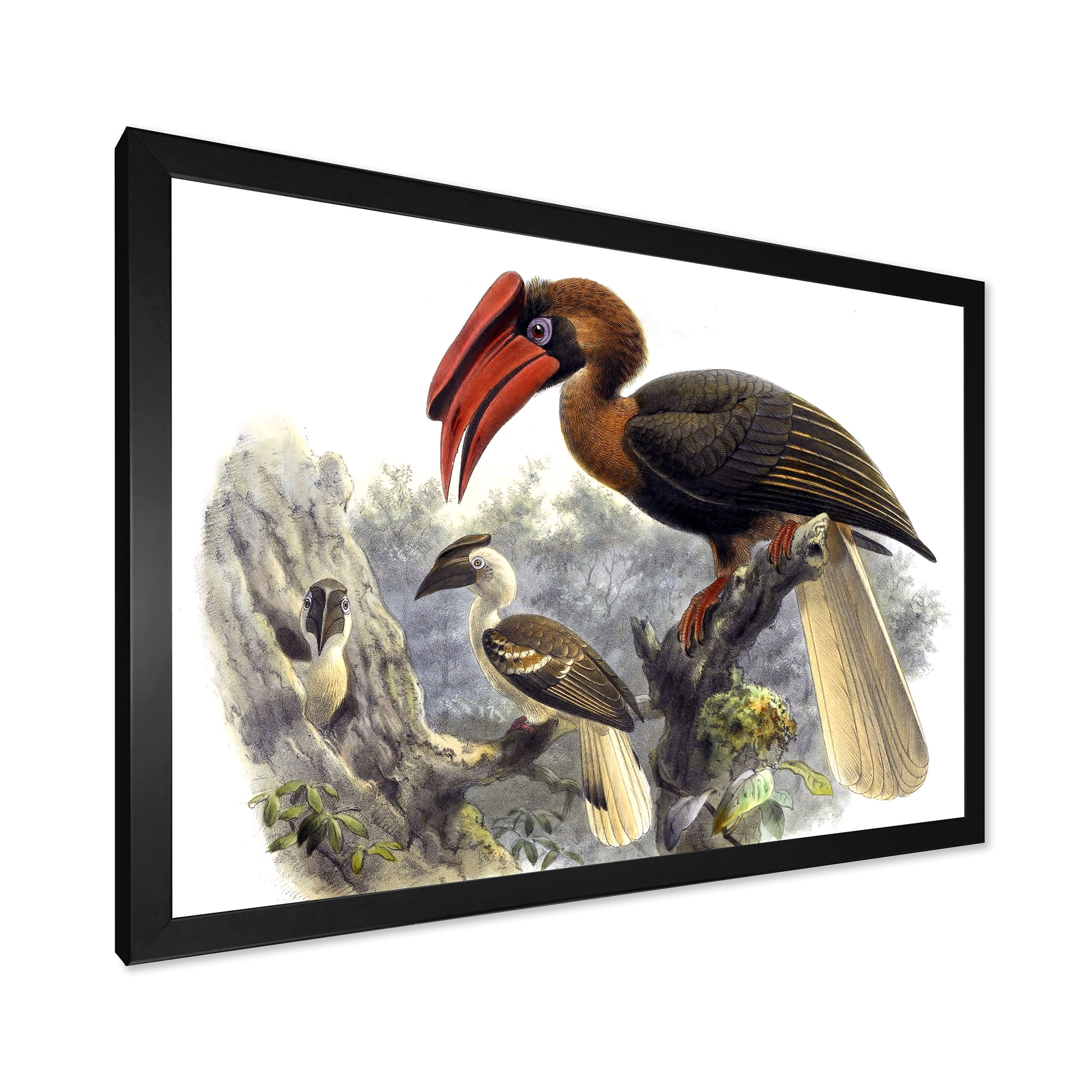 Designart 'Ancient Australian Birds XI' Traditional Framed Art Print