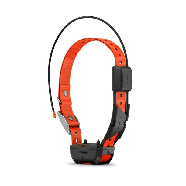 Garmin Alpha TT 25 GPS Rastreando Perros Collar