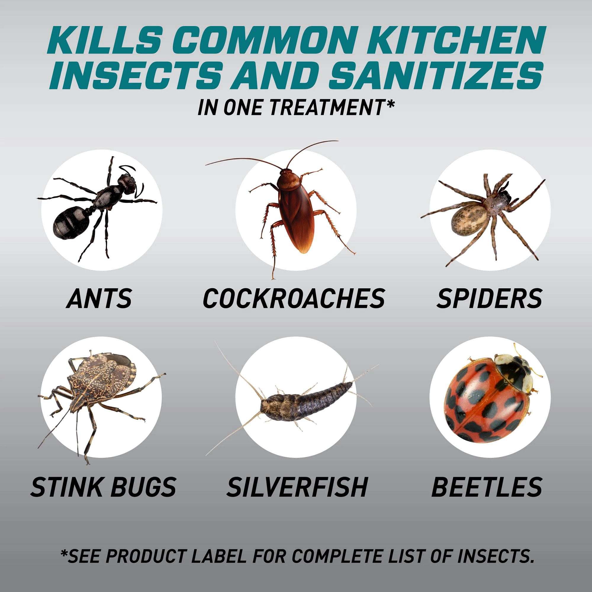 (6 pack) Ortho Home Defense Max Kitchen Insect Killer, Kills & Sanitizes 18 oz.