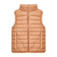 thumbnail image 1 of Veste en Duvet Automne et Hiver pour Femmes Courte Légère et à la Mode Col Montant Simple, 1 of 7