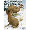 thumbnail image 1 of Carolines Treasures ASA2036GF Rabbit Searching For Grass In The Snow Flag Garden Size, 1 of 3