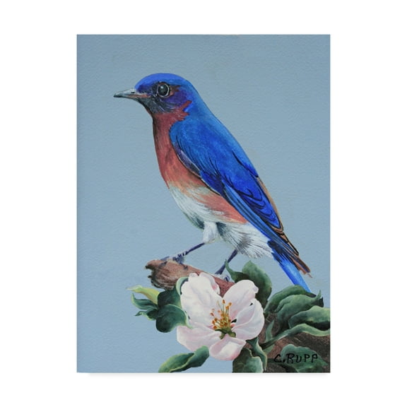 Trademark Fine Art 'Eastern Bluebird In Trees' Canvas Art by Carol J Rupp