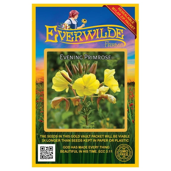 Everwilde Farms - 2000 Evening Primrose Native Wildflower Seeds - Gold Vault Jumbo Bulk Seed Packet