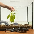 thumbnail image 4 of Houderco 2Ud Soporte Para Reptiles Color Oscuro Para Trepar Y Descansar En Acuario, 4 of 6