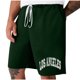thumbnail image 1 of Mens Casual Shorts Lace-Up Elástico Cintura Bolsillo Ejercicio Fitness Hogar Pantalones de Media Longitud para Diario, 1 of 4
