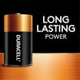thumbnail image 2 of CopperTop Alkaline D Batteries 2/Pack, 2 of 5