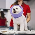 thumbnail image 3 of para Orejas de Perro para Reducir , Capucha para Mascotas, Morado M Yuyangstore Cubierta de orejas de mascotas, 3 of 7