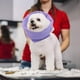 thumbnail image 4 of Pet Snood Colco para perros Orejeras de Aseo y protección para los oídos Morado M, 4 of 7