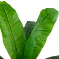 thumbnail image 6 of Northlight 4' Artificial Tropical Banana Tree in a Clay Pot, 6 of 7