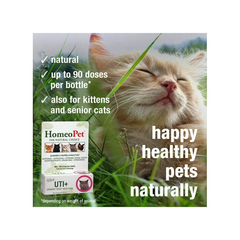 HomeoPet Feline UTI Plus 15 ml Veterinary Care Medicine for Urinary Tract Infection in Cats Walmart