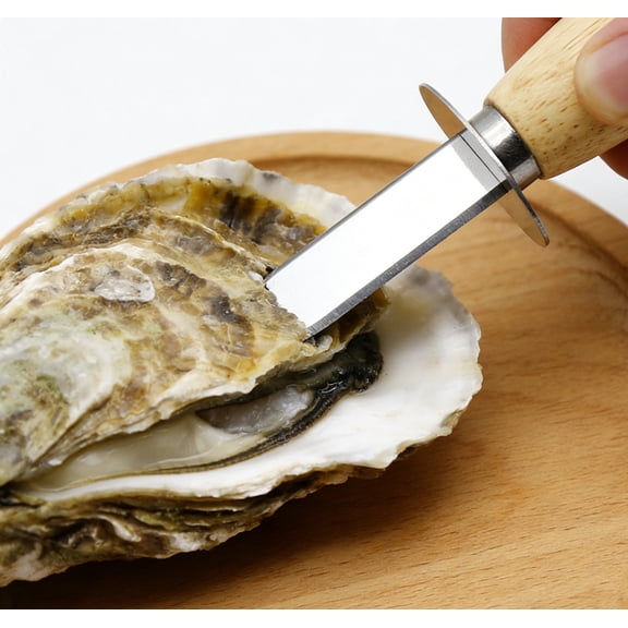 Stainless Steel Oyster Opener, Tool for Prying Oysters, Mussels & Scallops, Sharp Pointed Blade for Easy Opening, Ergonomic Handle for Secure Grip, 0.67*6.06in