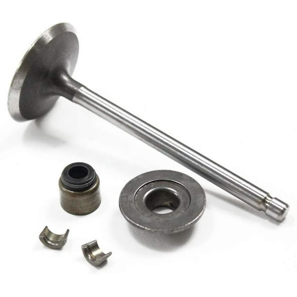 Briggs & Stratton Genuine 793556 VALVEINTAKE Replacement Part