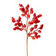 thumbnail image 1 of Vickerman L183302 Vaporisateur Extérieur aux Baies Rouges 17 Po., 6 par Sac, 1 of 1