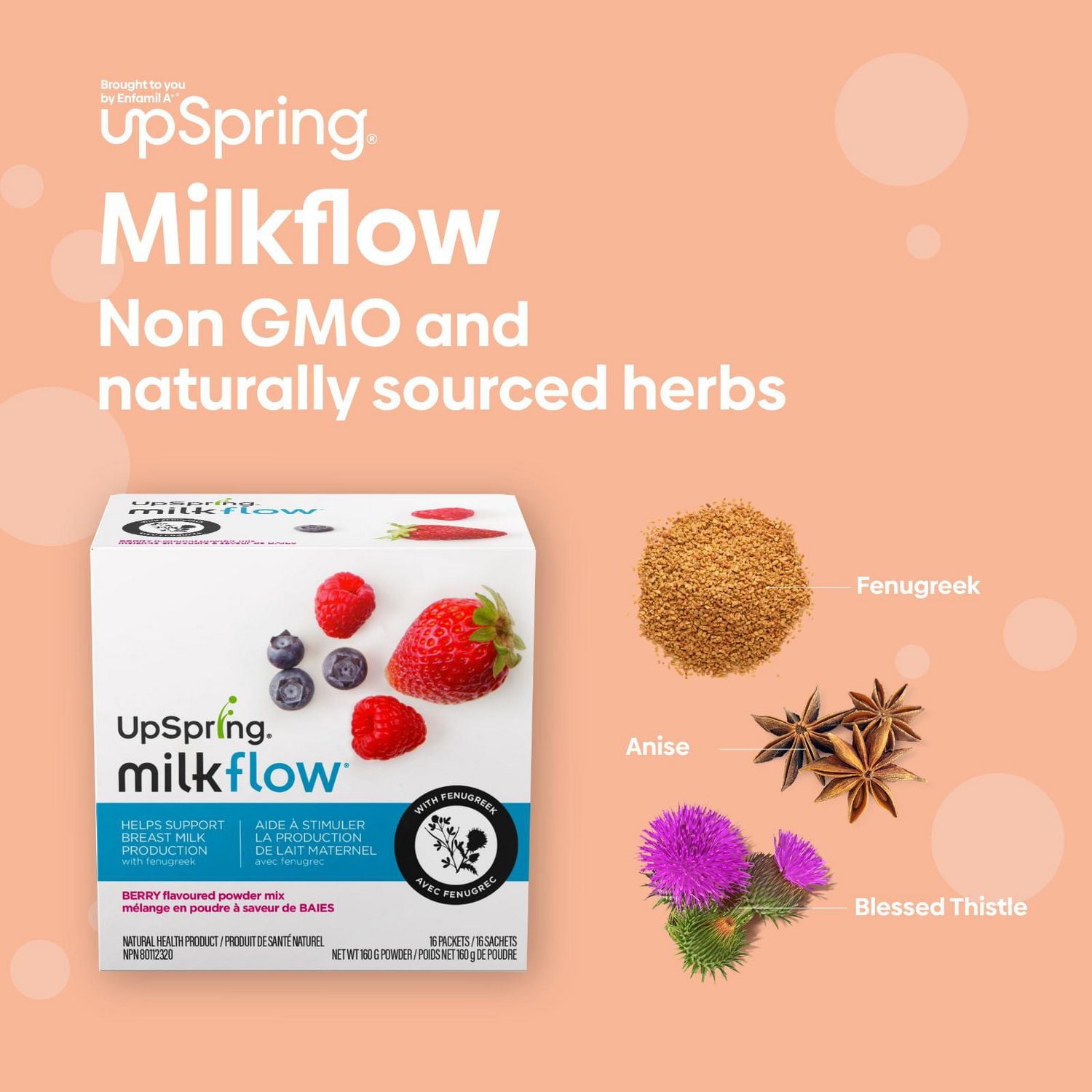 UpSpring Milkflow, mélange en poudre a saveur de BAIES, aide a stimuler la production de lait maternel, 16ct