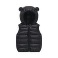 thumbnail image 3 of Kids Hooded Puffer Vest Lightweight Sleeveless Outerwear Zipper Closure Warm Gilet for Boys and Girls Winter Fall Spring, 3 of 3
