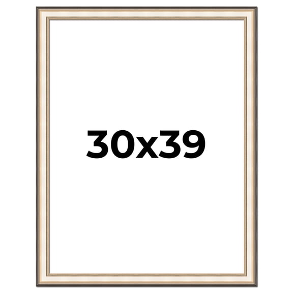 30x39 Frame Gold Silver Plein Aire 2" Inch Wide Moulding Solid Wood Picture Frame | Modena