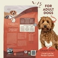 thumbnail image 5 of Earthborn Holistic Weight Control Chicken Meal and Vegetables Grain Free Dry Dog Food 12.5 lb, 5 of 10