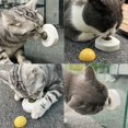 thumbnail image 5 of Jouet Interactif pour Chat Petit Chiens Distributeur de Friandises Lent Roue Rotative Accessoires Chaton, 5 of 5