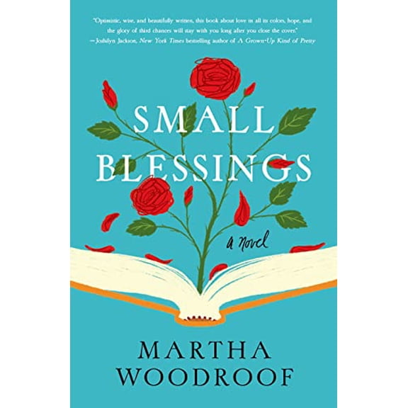 Pre-Owned Small Blessings: A Novel, 9781250040527, 1250040523, Hardcover, First Edition edition