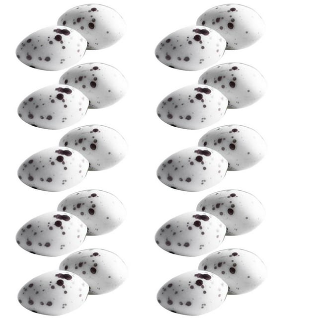 Exhibición Del Modelo Huevos de Pájaro Manchados 20pcs, Apoyos Del Tiro, Pared de