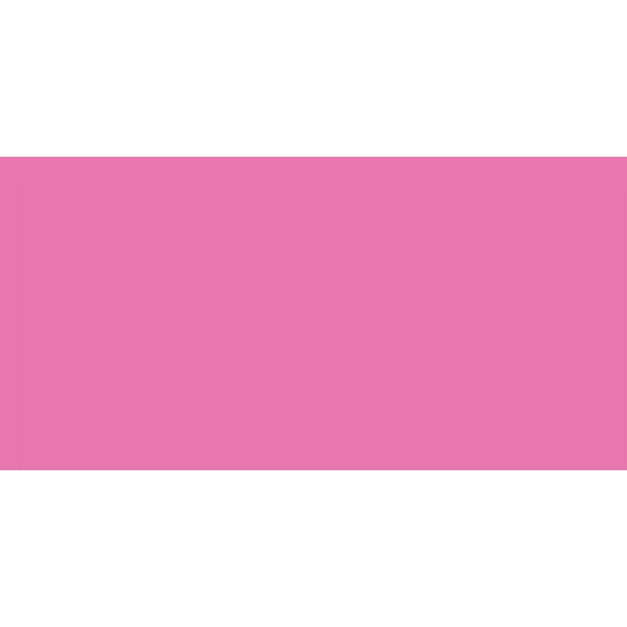 Darice Foamies Foam Sheet 9"X12" 2mm Fuchsia 10/Pack