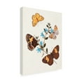 thumbnail image 2 of Unknown 'Butterflies And Moths I' Canvas Art, 2 of 3