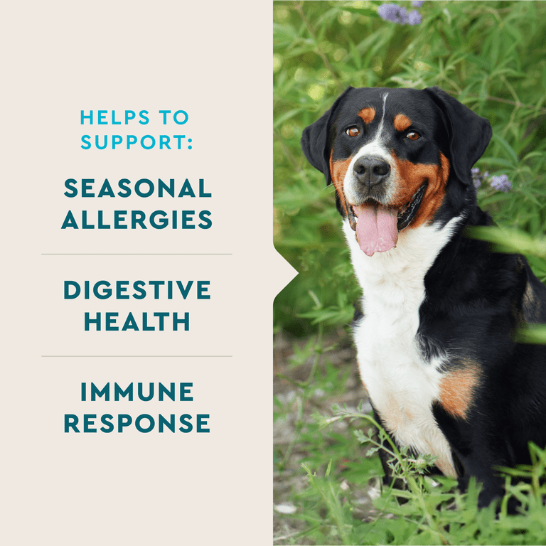 Vet IQ Allergy Pro+ Soft Chews for Dogs, 60 Count photo 2