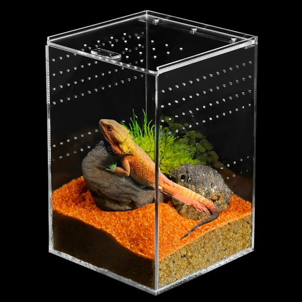 Jaula acrílica para reptiles, caja de cría de reptiles transparente de 6 x 6 x 9 pulgadas de alto, tanque de terrario para reptiles para tarántula, escorpión, isópodos, invertebrados, insectos