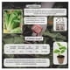 thumbnail image 3 of Semillas Lechuga Orejona Vita, 3 of 5
