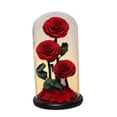 thumbnail image 4 of Rosa Eterna en Cúpula de Cristal BLESIY Regalos del Día de San Valentín, 4 of 8