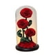 thumbnail image 4 of Regalos del Día de San Valentín Macarena Rosa eterna en cúpula de cristal, 4 of 8