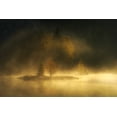 thumbnail image 2 of Borggreve, Ellen 32x23 Black Ornate Wood Framed with Double Matting Museum Art Print Titled - Autumnsphere, 2 of 4