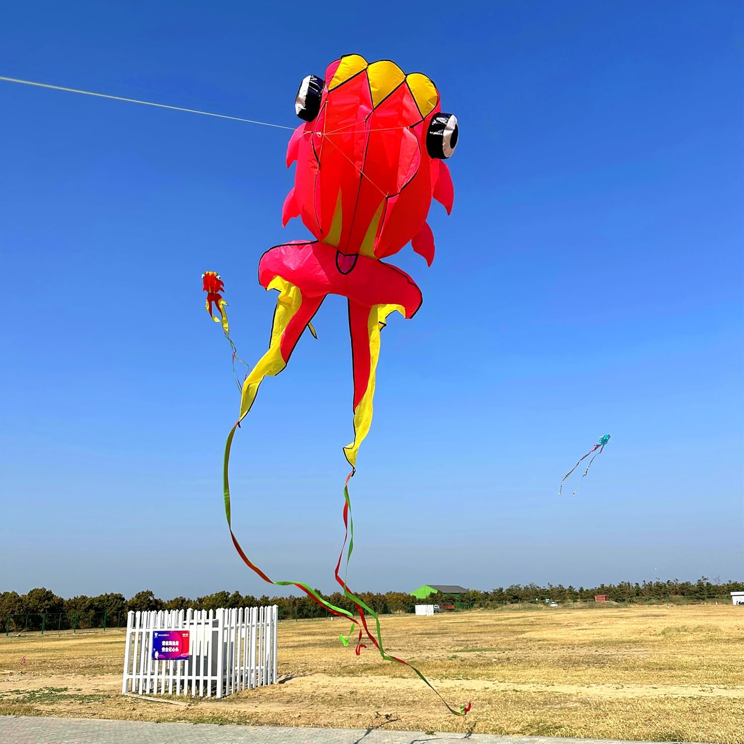Large 43ft 3D Goldfish Frameless Soft Umbrella Kite for Adults, Easy to Fly with 330ft String for Beach and Park, Ages 12+