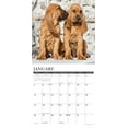 thumbnail image 3 of Bloodhounds 2025 Wall Calendar, 3 of 4