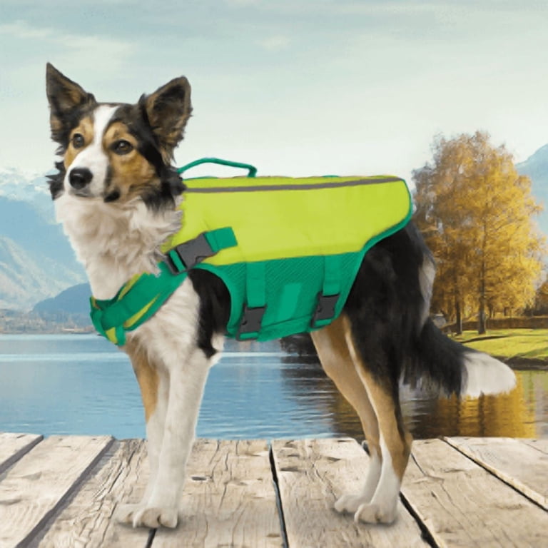 Dog Flotation Vest with Handle and D-Ring photo 2