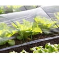 thumbnail image 3 of UV Resistant Clear Polyethylene Film,Bexikou 9.84 x 19.7 ft Clear Greenhouse Plastic Sheeting,Plant Cover Sheeting for Farms, Agriculture, Garden, 3 of 6