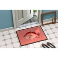thumbnail image 2 of Carolines Treasures 8351JMAT Strawberry Snapper Doormat 24x36 36"L x 24"W multicolor, 2 of 4