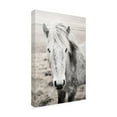 thumbnail image 2 of Trademark Fine Art 'Heida II BW' Canvas Art by Laura Marshall, 2 of 3