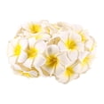 thumbnail image 3 of Flor De Simulación Guirnalda De Luces Led Plumeria Guirnalda Funciona Con Pilas 3 Modos De Luz 20 Lámpara Decorativa De Hada De Las Flores Led Para Jardín Patio Dormitorio Boda Fiesta Hogar Advancent HA027406-02, 3 of 7