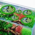 thumbnail image 1 of Runquan 5 Pieces Tank Floating Plant Rings Portable EVA for Pond Pool Tank Green, 1 of 8
