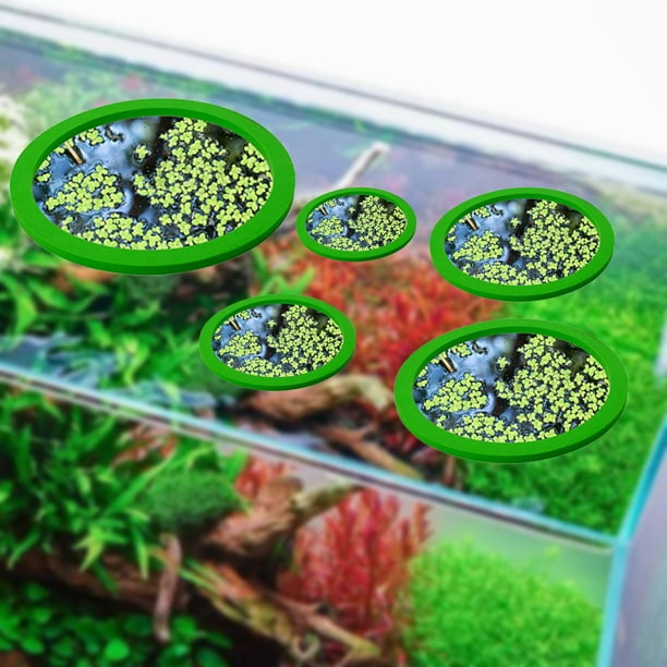 Anillos flotantes para plantas de acuario, juego de anillos de bloqueo de hierba para pecera, planta flotante para acuario Verde