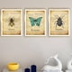 thumbnail image 2 of Pintura Insecto Impresión de Pared Naturaleza Impermeable Sin Agrhramed Art Owlet Animal Poster Decoración Dormitorio Sala de estar Baño 3 unids Methold HA011003-00, 2 of 7