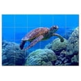 thumbnail image 1 of Turtle Ceramic Tile Mural Kitchen Backsplash Bathroom Shower, 402948-M64, 1 of 3
