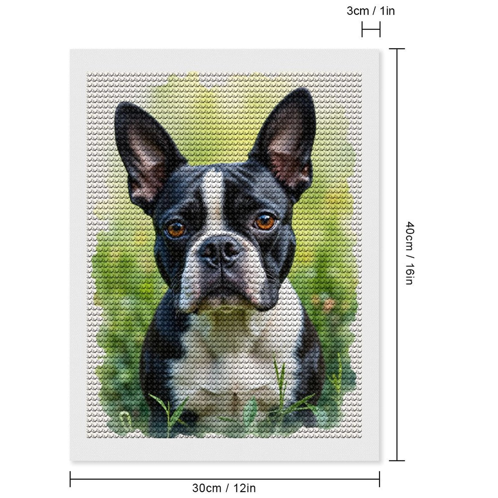 Diamond Art Kits for Adults, Boston Terrier Portrait Garden Bliss 5D Diamond Painting Kits for Adults Beginners, DIY Full Drill Diamond Painting, Gem Art and Crafts 12x16