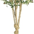 thumbnail image 3 of Nearly Natural 5258 Olive Silk Tree, 5-Feet, Green,9" x 9" x 62.5", 3 of 4
