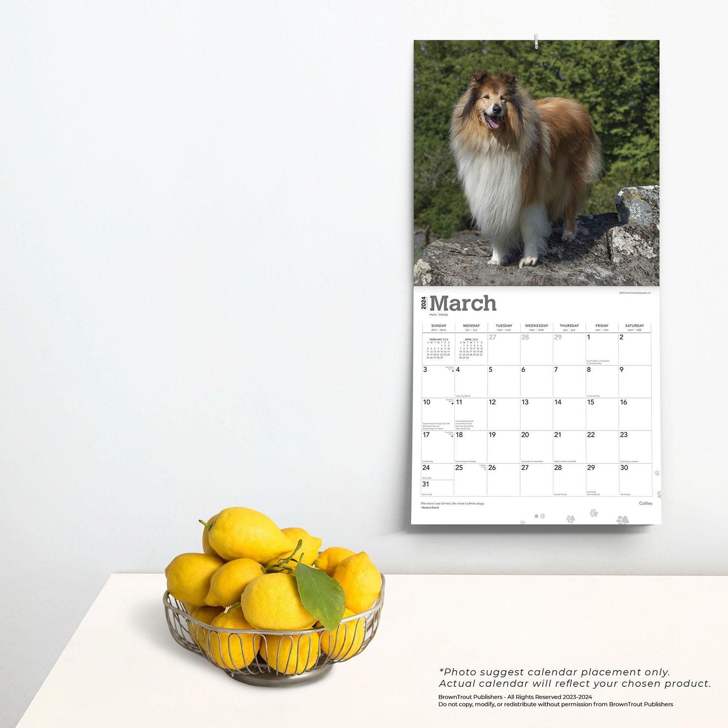 BrownTrout Chihuahua 2024 Mur Carré 30.48x60.96 CM, 9781975462406