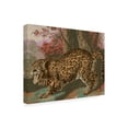 thumbnail image 2 of Jarman Fagalde 'Urban Jungle Cat II' Canvas Art, 2 of 3
