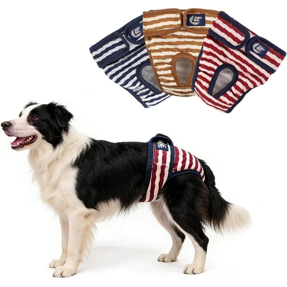 Dog Diapers for Small to Large Dogs, Absorbent Female Dog Diapers for Dogs in Heat, Excitable Urination, or Incontinence, Washable and Reusable, Pack of 3