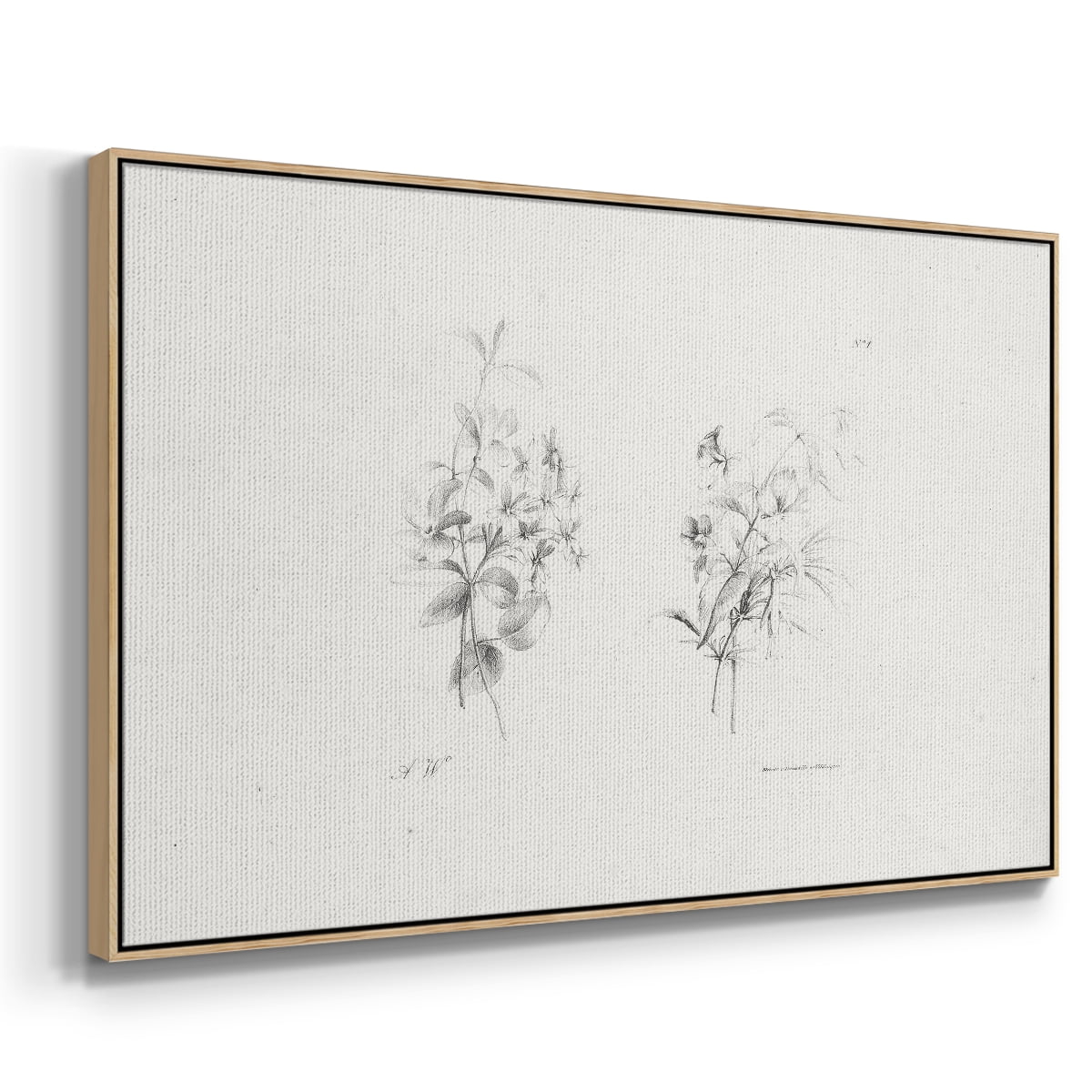 Vintage Sketch-IX By Wexford Home Framed in Natural Wood Wood Gallery Wrapped Canvas 17 in. x 25 in.