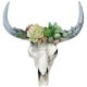 thumbnail image 1 of Decoración de pared de resina Bull Tau, animal 3D simulado para decoración de oficina en casa, 1 of 5